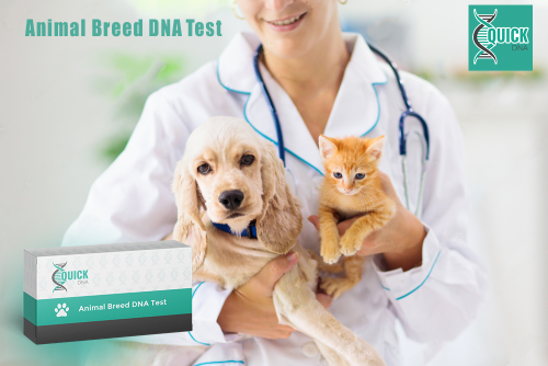 Welke criteria moeten worden overwogen bij het kiezen van een DNA-test in de diergenetica?