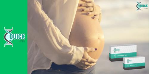 Kan er tijdens de zwangerschap een prenatale vaderschapstest worden uitgevoerd?
